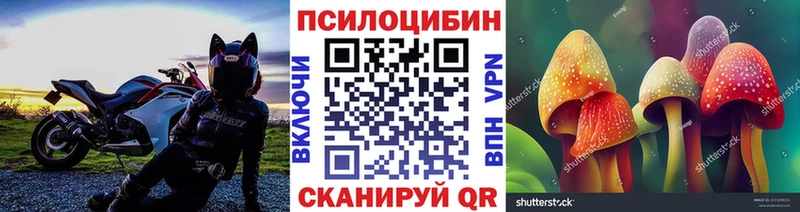 Купить закладки  Калач  Псилоцибиновые грибы Magic Shrooms 